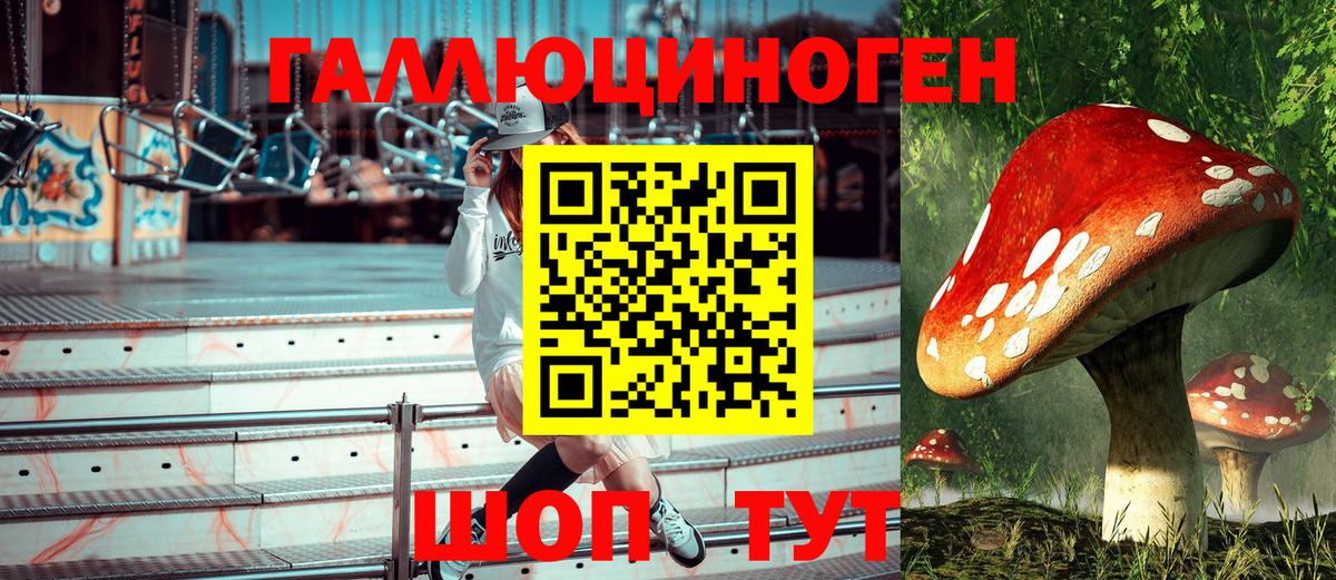 Галлюциногенные грибы ЛСД  Псилоцибиновые грибы Magic Shrooms  что такое   Нарткала  Вход с VPN 