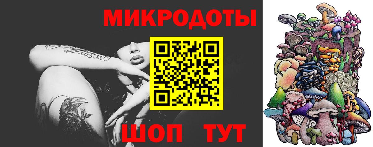 Галлюциногенные грибы Psilocybine cubensis Нарткала