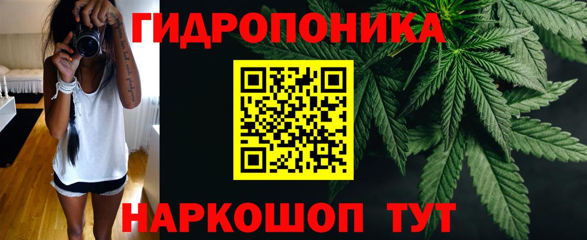 Конопля Amnesia  Каннабис Bruce Banner  Вход с VPN  Марихуана Amnesia  Нарткала 